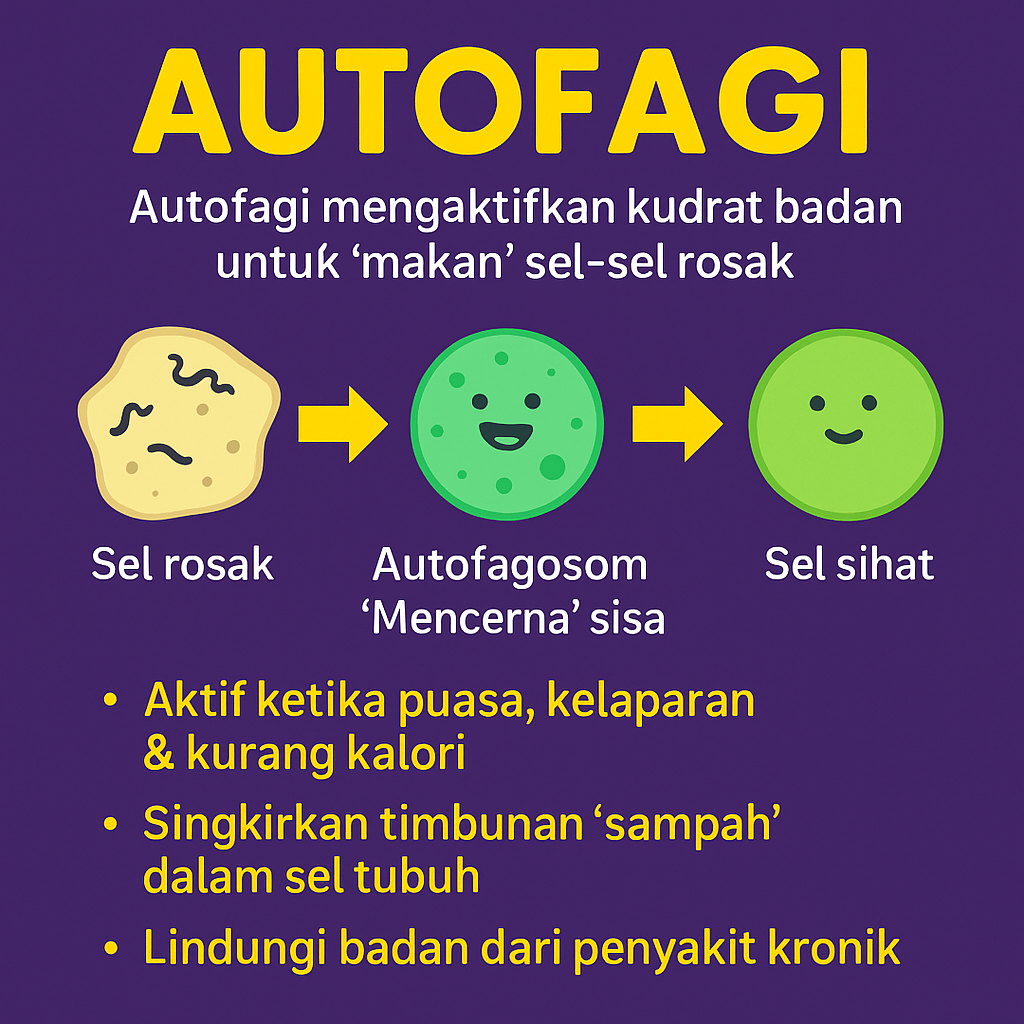 Mekanisme Autophagy