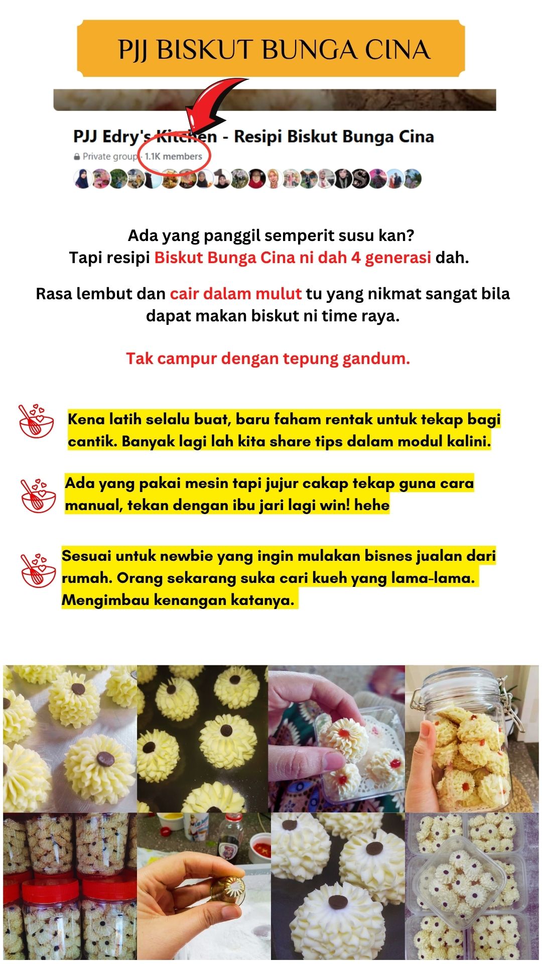 PJJ Biskut Bunga Cina